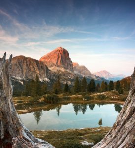 Home our service 01 274x300.jpg